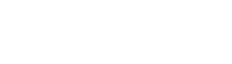 170607LOGOwhiteNZ - updated